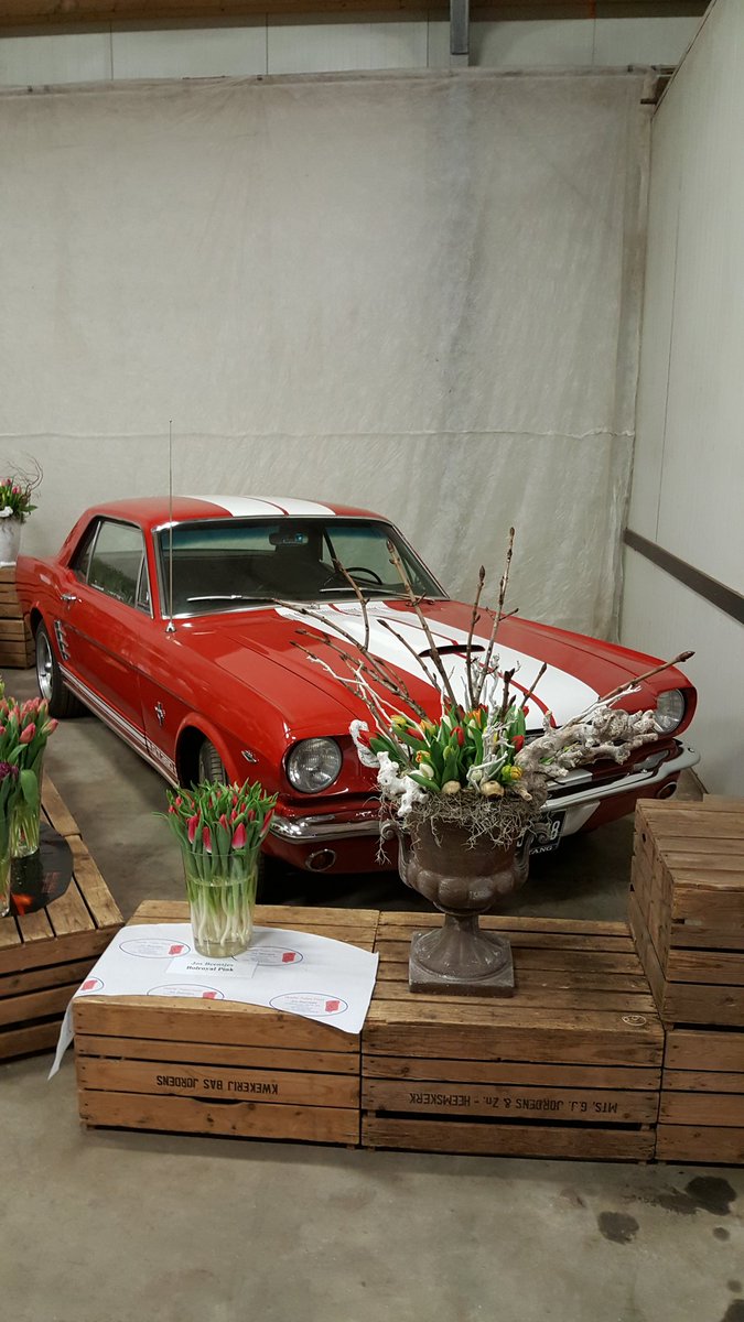 JcmVof's tweet photo. Leuke tulpenmiddag gehad. https://t.co/NXibtwWS2n