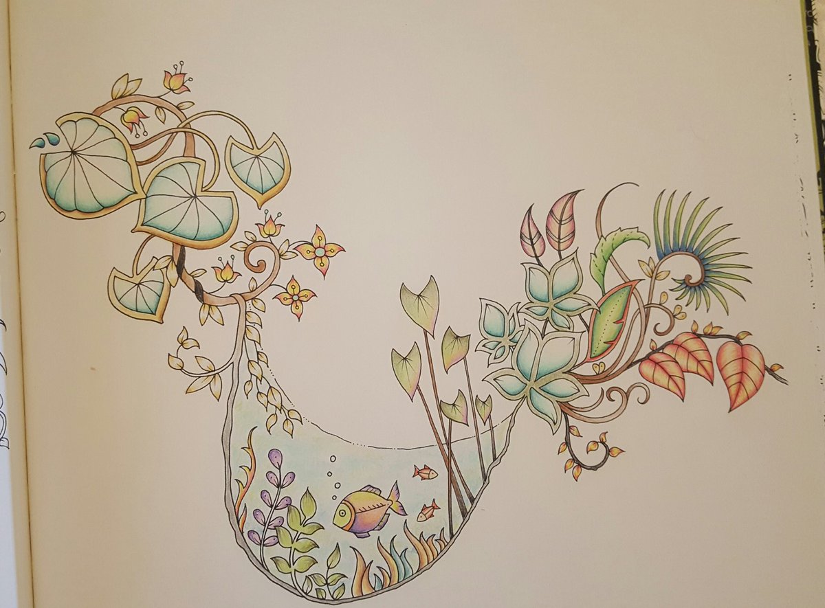 teresachard2's tweet photo. Finished a little one #johannabasford #adultcolouring #magicaljungle #colouring #colouringformindfulness https://t.co/zR5pvJ2QZ5
