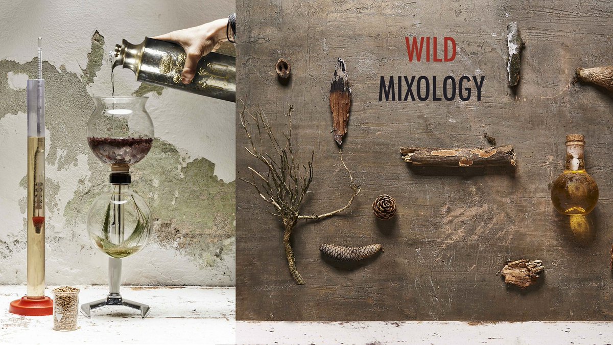 wooding wildfoodlab tweet media