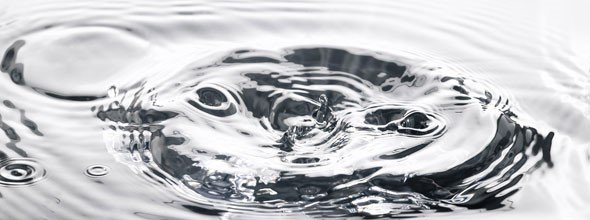 fundseurope's tweet image. New survey: Pioneer Investments #LiquidAlternatives Survey. Let us know your views here: goo.gl/jelr7G .