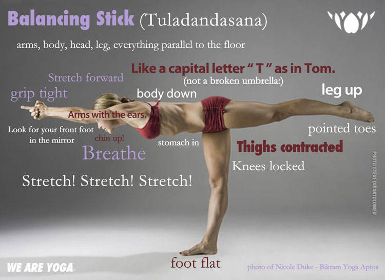 bayleafbotanics's tweet photo. Balancing Stick Yoga Pose (Tuladandasana) https://t.co/ZmypbQh6Mj https://t.co/2Ma6ZKcUzv