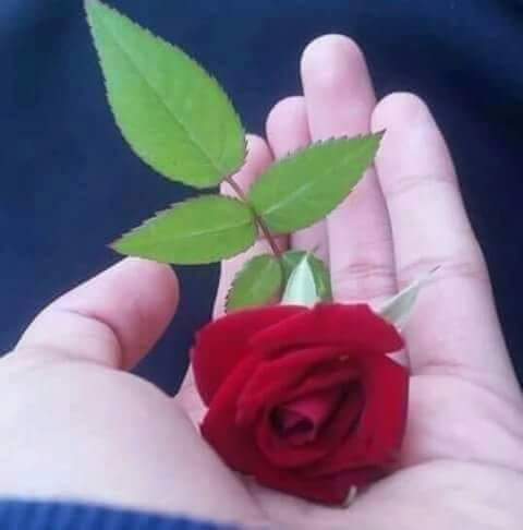 افغانی موجب ابها (@slkx4z309dgdmop) on Twitter photo 