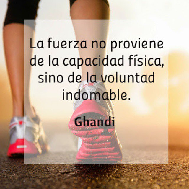 MundodeFitness's tweet photo. ¿Tienes suficiente fuerza?

https://t.co/i5msbfVkoq

#personaltrainer #curso https://t.co/QiYNye2u9q