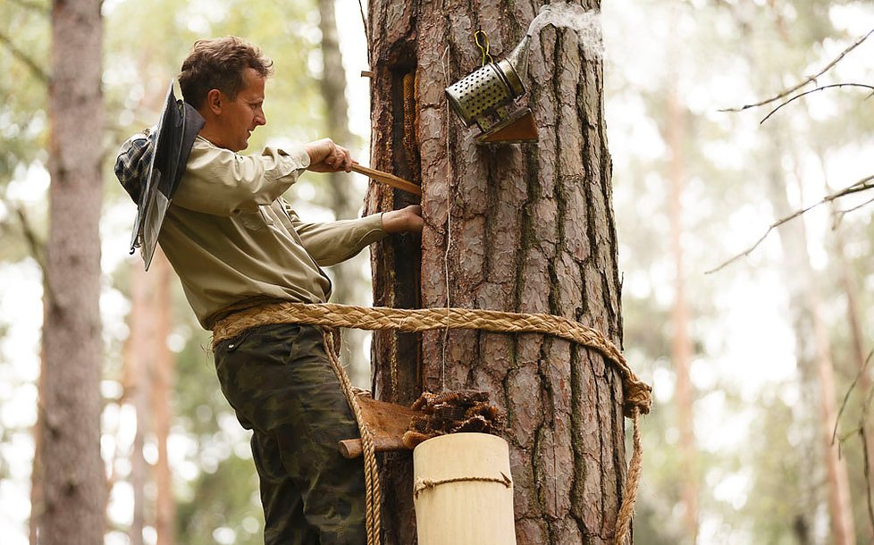 NaturalBeeTrust's tweet image. Much acclaim for this guide to #treebeekeeping by treebeekeeper Jonathan Powell
naturalbeekeepingtrust.org/ebook