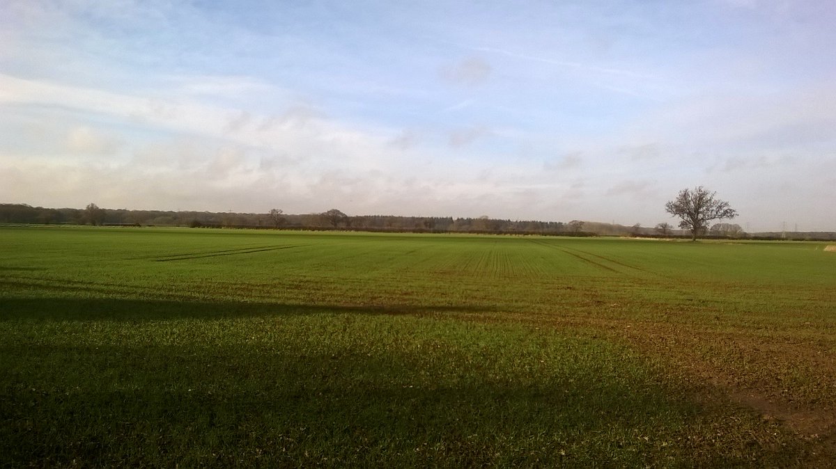 RunningRos's tweet image. 16 miles done on a lovely morning 🏃‍♀️😀It maybe flat found here but still beautiful. #thisgirlcanrun #ukrunchat