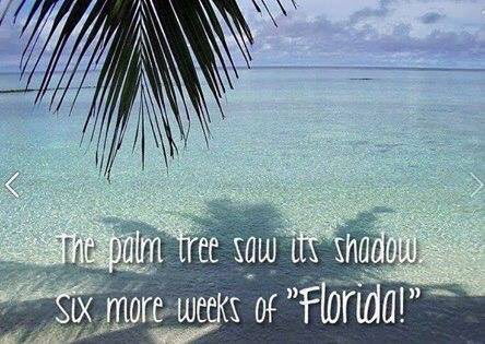 shellflorida1's tweet image. 