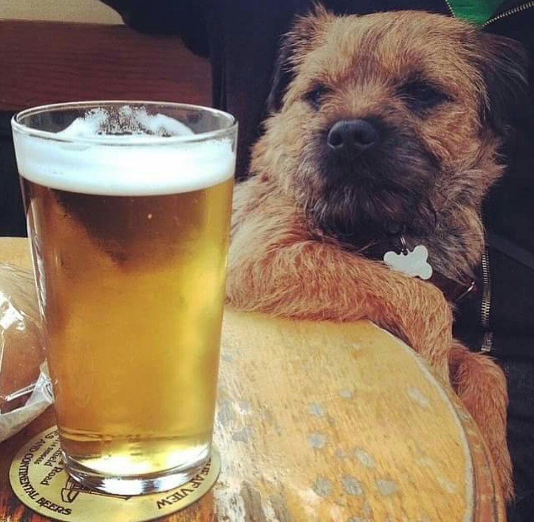 Friend of yours, <a href="/BonnieBT13/">Princess BonBon, #Gavin4ever 🐎 🌈❤️💔</a> 😉🍻