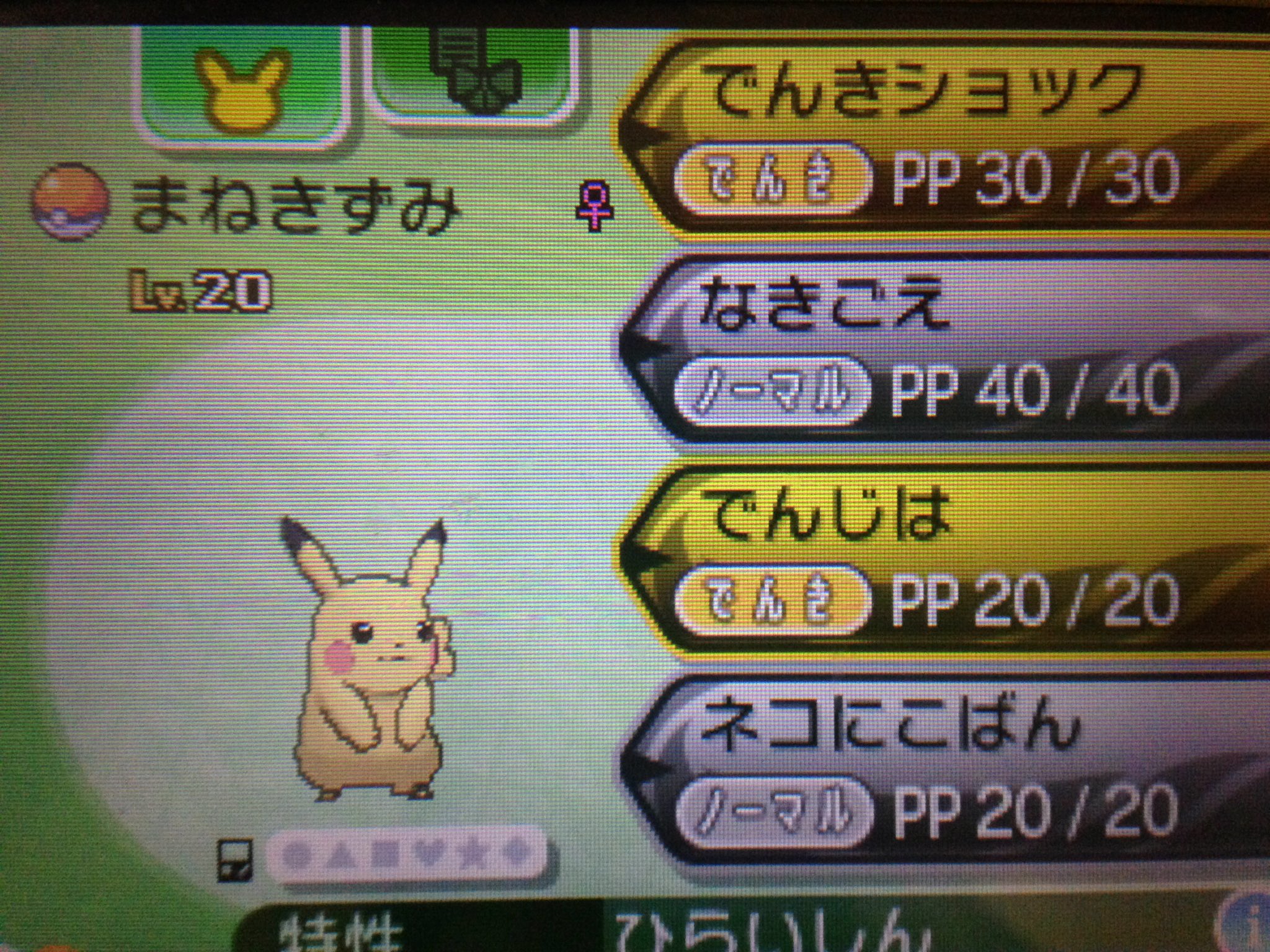 ポケムーバー Twitter Search Twitter