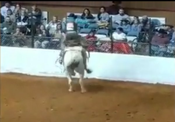 Shut down Fort Worth stock show! Sign &amp; RT petition animalpetitions.org/168108/shut-do… Rodeo is #AnimalCruelty #OpRodeo
