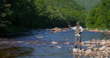 Golf,whale watching,salmon fishing,hiking,camping,fine dining,accommodations,shopping all on the Cabot Trail in the community of Cheticamp!