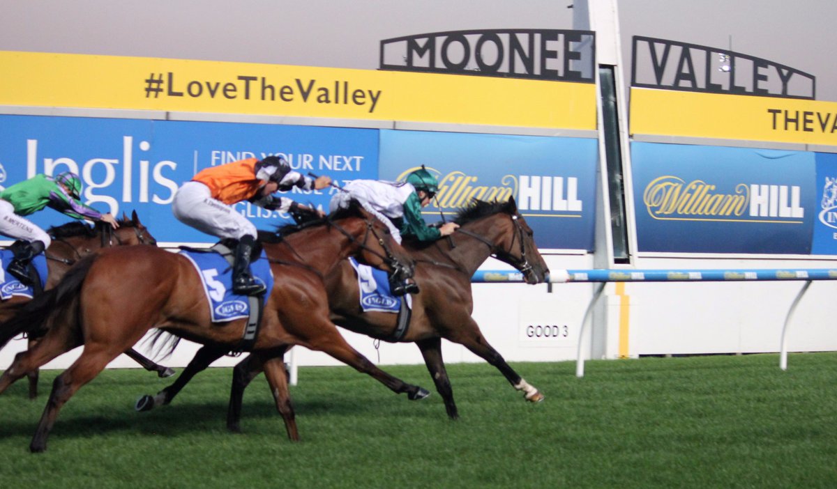 michaeledgley's tweet photo. Love it when a plan comes together. #PuntClub #Winner #MooneeValley  Congratulations @PP_Nagambie  #ProudOwner @EquianoClub @SwettenhamStud https://t.co/yYzbONZ5Li