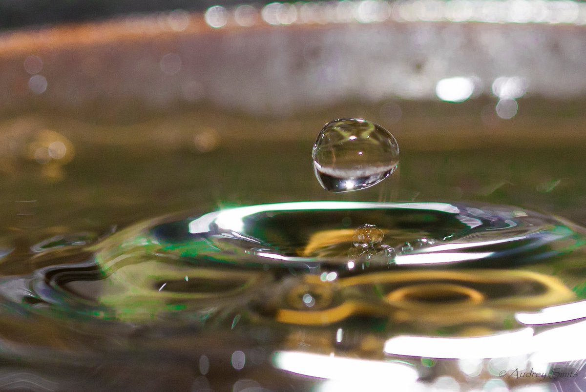 ImageIsFantasy's tweet image. #ImageIsFantasy
What do you see?
#druppel #water #knikker ?