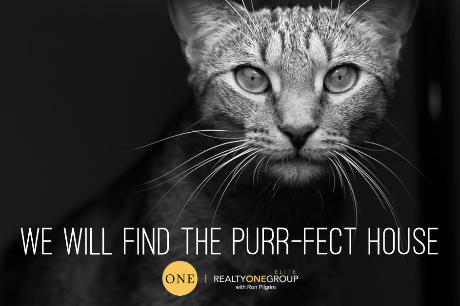 RonRealtyOne's tweet image. You need a realtor that will get down to business! #realtor #buyahome #upgrade