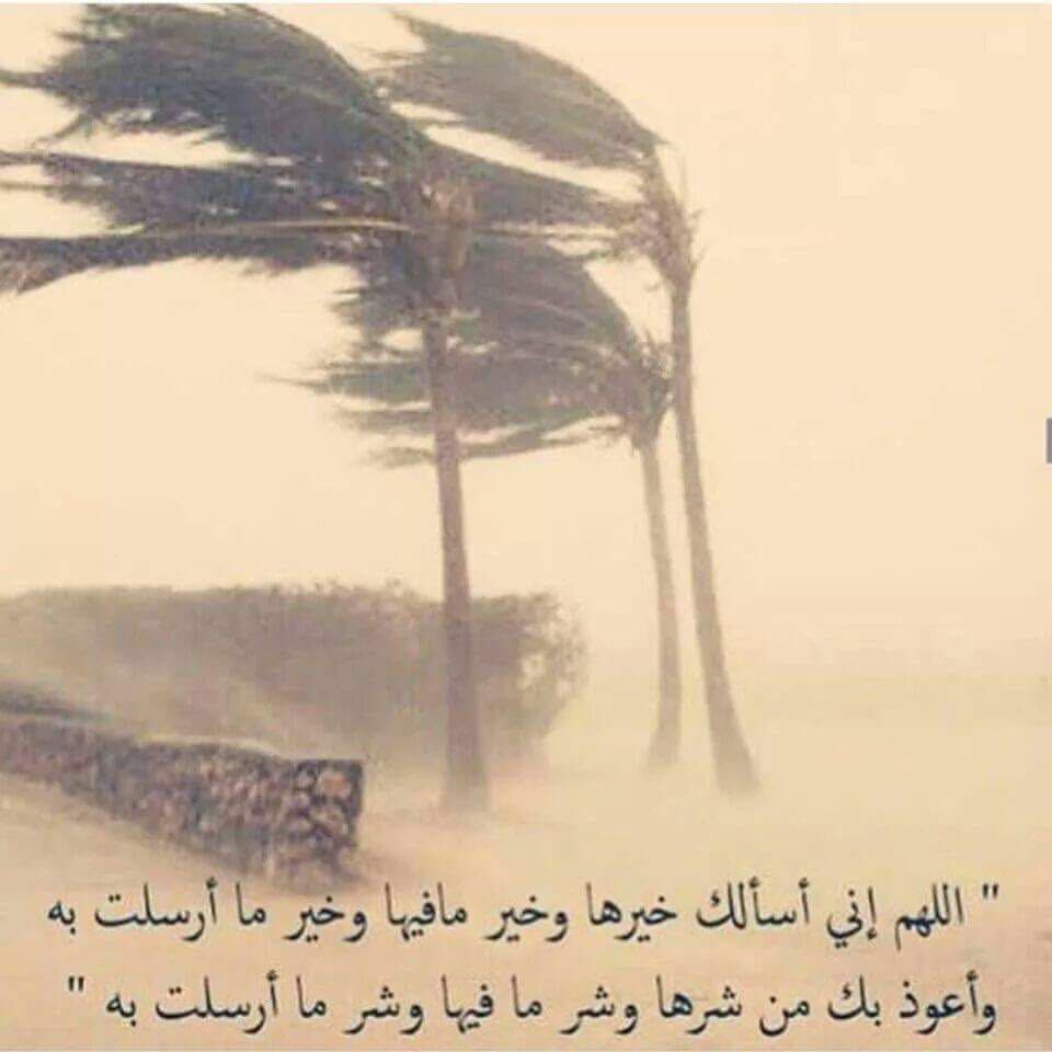 يارب مع برودة جوّك برد على قبور الذينَ رحلوا عن الدنيا ولم يرحلوا عن قلوبنا💛):
