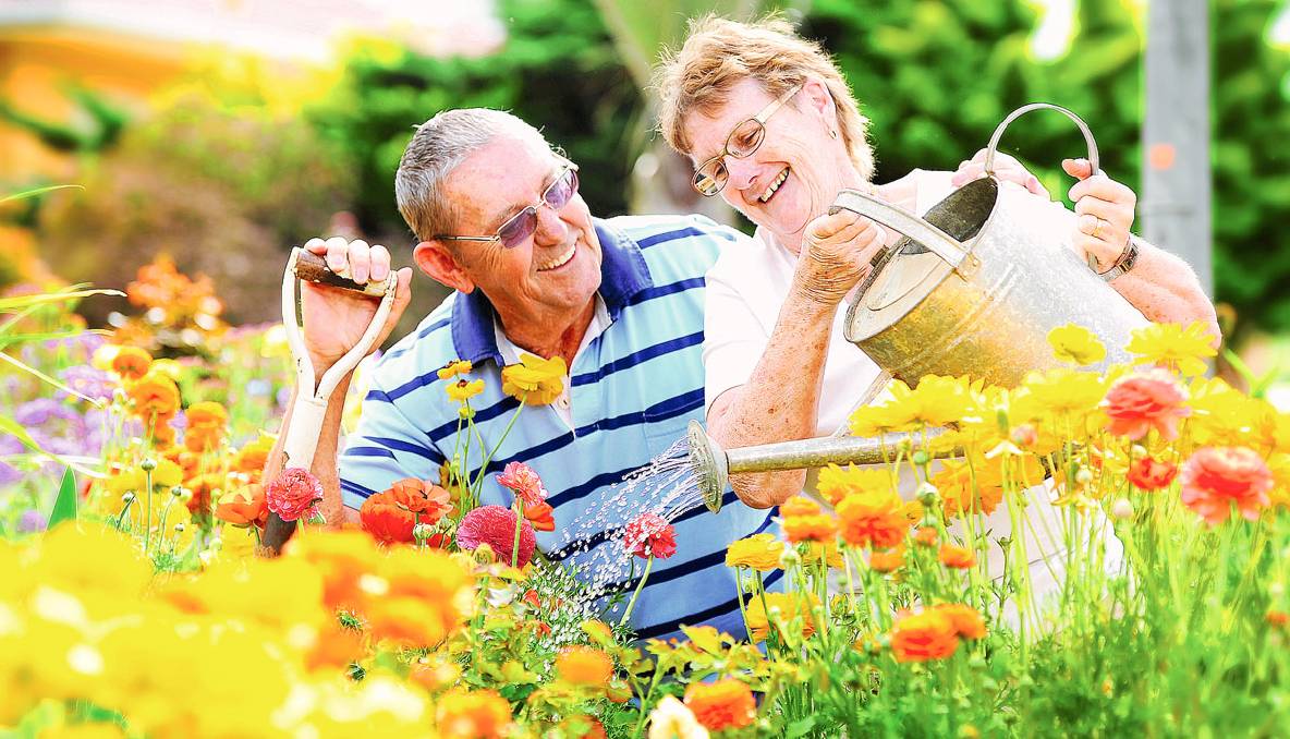 choicestoresirl's tweet photo. Looking to get your garden prepared for Spring? Our latest blog looks at how best to prepare the garden.#choiceblog

https://t.co/me8Ownm9tn https://t.co/ebOerkSzdT