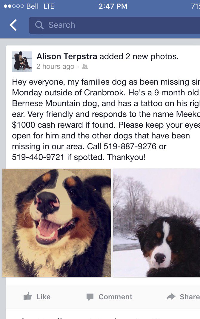 Joe Terpstra (@cranbrookfarms) on Twitter photo 