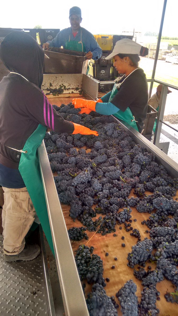 Comenzó la fiesta.....