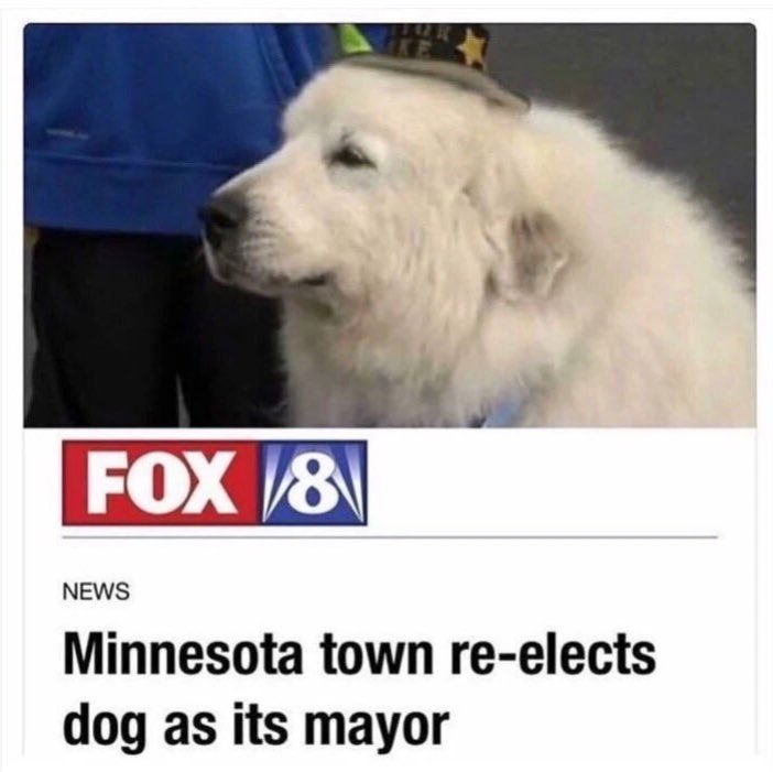 Respectful Memes tweet media