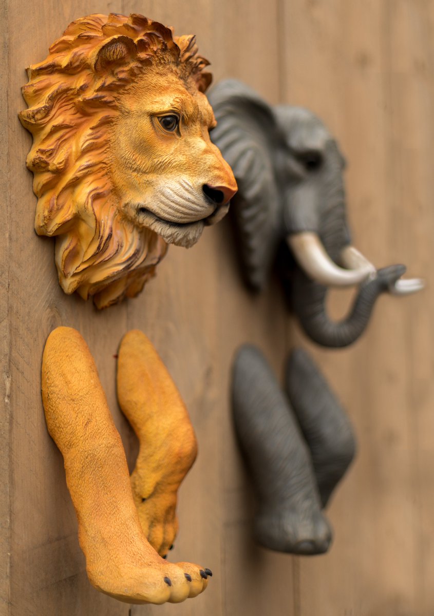 DutchSenses's tweet photo. Wat vinden dierenvrienden hiervan? #dierenvrienden #3d #wanddecoratie #tienerkamers #kinderkamers #IdeeCadeau #nogmeerdieren https://t.co/sOq8ZXkMcd