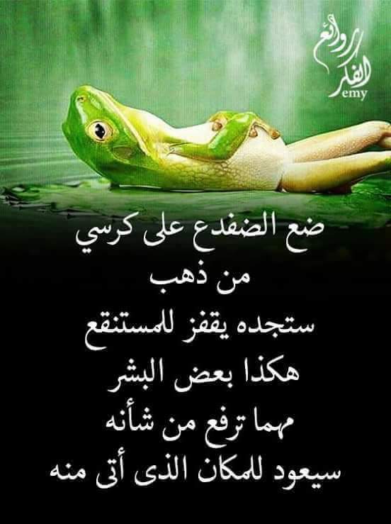 LukasRabeh's tweet photo. https://t.co/3LnnzB7bqK