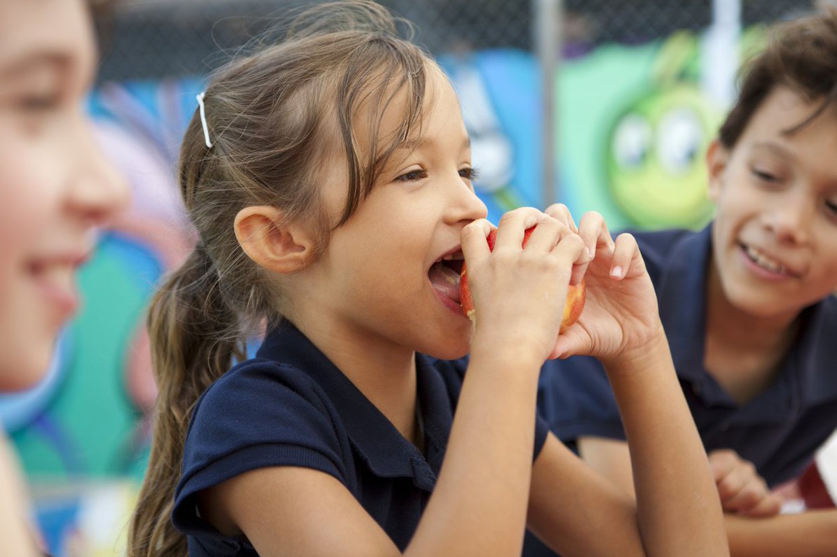 projectbread's tweet photo. According 2 Share Our Strength (@nokidhungry), avg 17.5% incr in math scores from students who start day w/ healthy meal #FunFactFriday https://t.co/SQg0mCBDrd