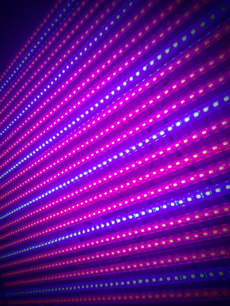 LEDLuminaires's tweet photo. Grow denser product with better #LED #higher #lumen and #spectral consistency. https://t.co/KiBNv4t4Nx