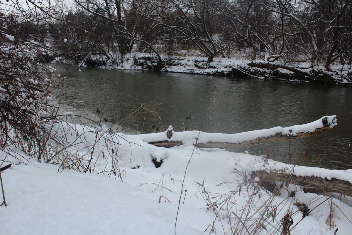 ProducerNick23's tweet image. The shear beauty of the &quot;Arb&quot; in winter is stunning.
#myfirstblog