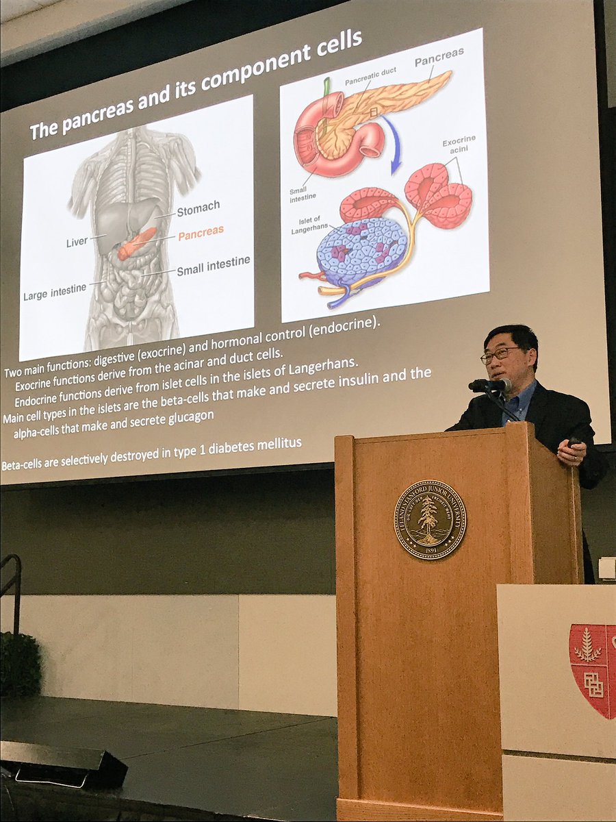 StanfordChild's tweet photo. Seung Kim, @StanfordMed, discusses the need for renewable sources of islets for #diabetes. #CuringIncurable https://t.co/B3EhsTMofw