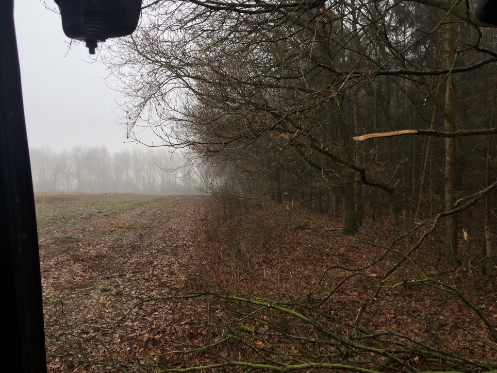 No1FarmerGuy's tweet image. Before &amp;amp; after from this week&apos;s project #TreeShear #DipperSnipper