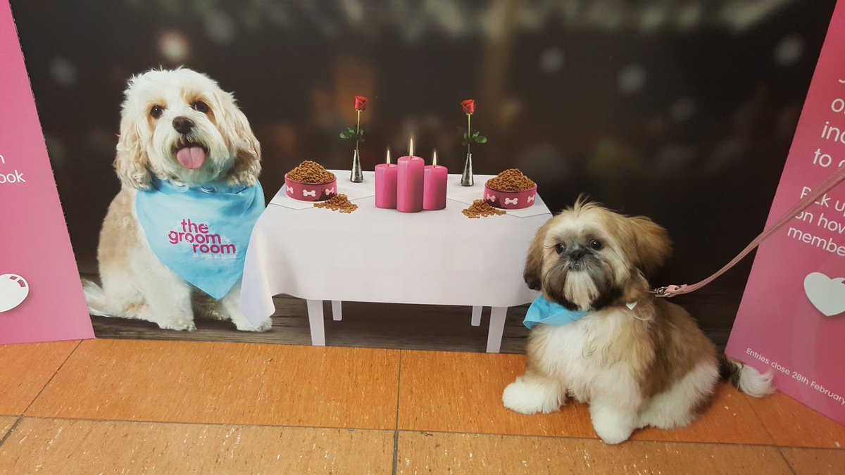 the groom room cleethorpes