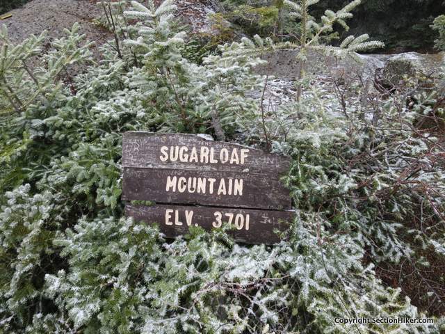 Climbing Sugarloaf Mountain in the Nash Stream Forest #womenshikingboots sectionhiker.com/climbing-sugar…