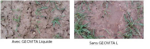 direct_agri's tweet photo. Avec #Geovita L: la vie #microbienne est là ! dixit l'#agriculteur sol mieux drainé! #conditionneurdesol - photos du 16/01/2017 https://t.co/eMAm106yAo
