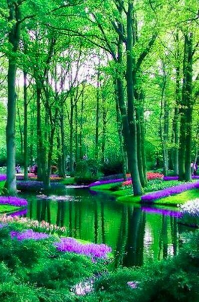 pic_oso's tweet photo. https://t.co/8fbNduEZDs