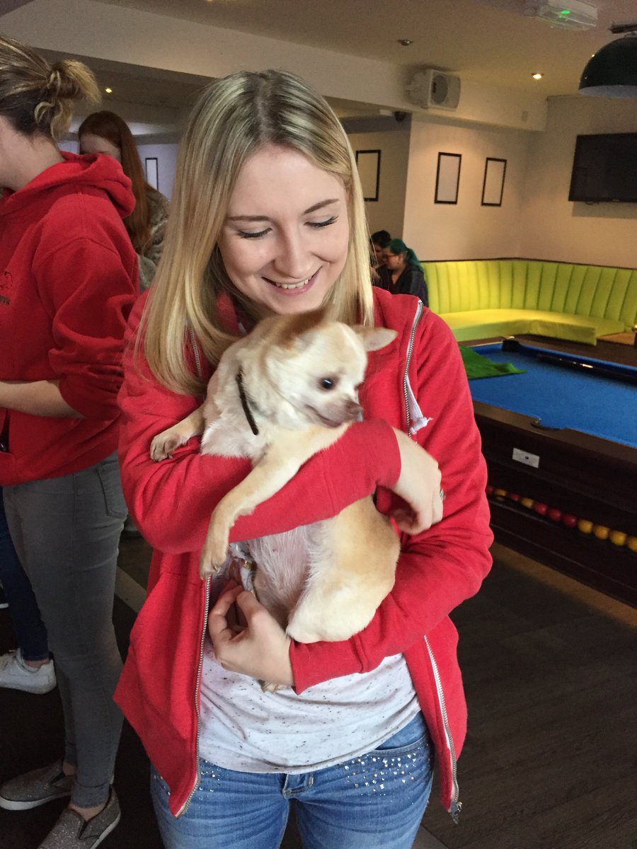 UWTSD's tweet photo. Feeling strung out? Why not pop along and pet a pooch from Alpet Poundies Rescue! @TSDSUSwansea Wednesday 8 Feb 10.30am - 3.30pm. https://t.co/uNQGrkCP0y