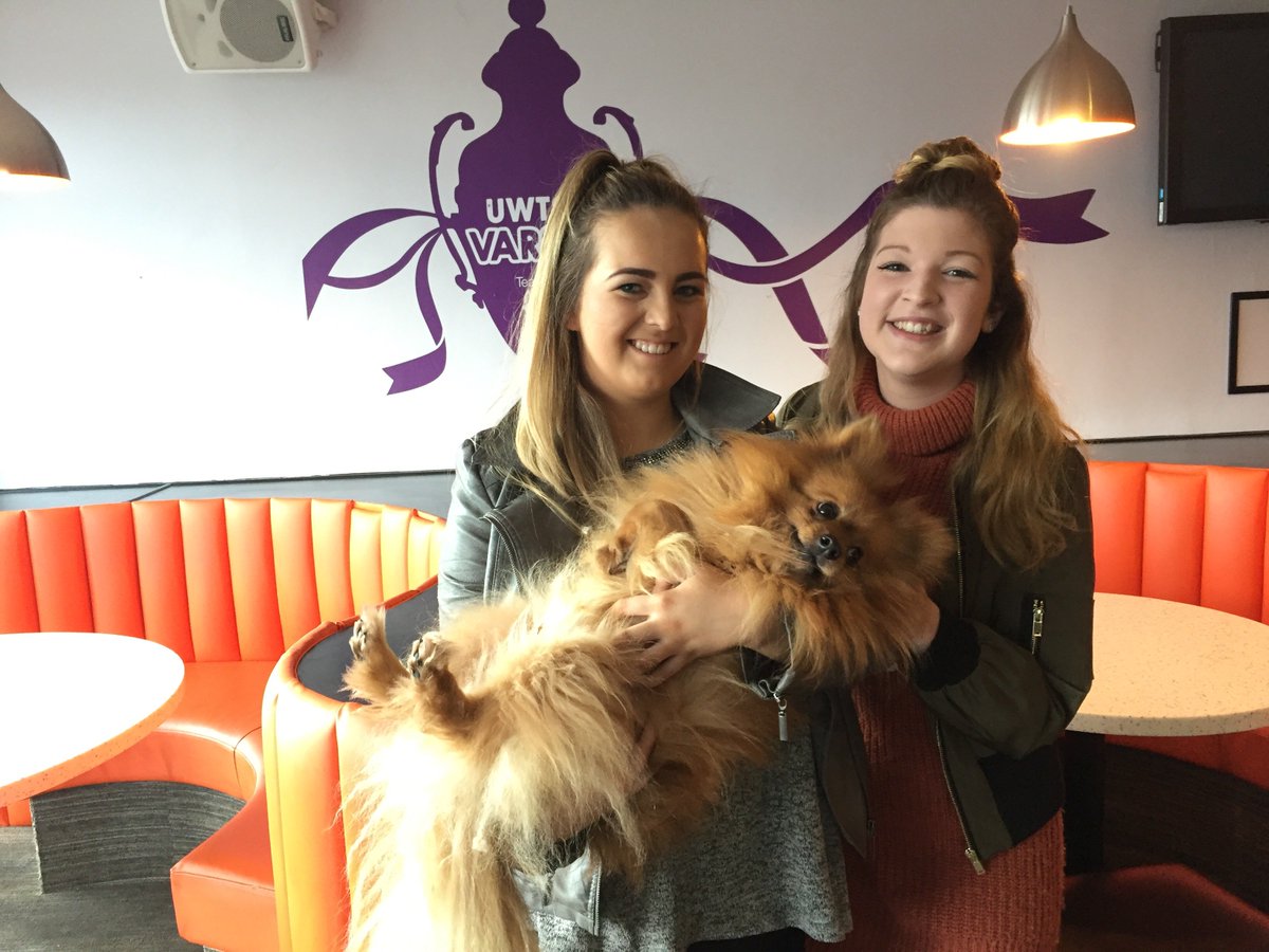 UWTSD's tweet photo. Feeling strung out? Why not pop along and pet a pooch from Alpet Poundies Rescue! @TSDSUSwansea Wednesday 8 Feb 10.30am - 3.30pm. https://t.co/uNQGrkCP0y
