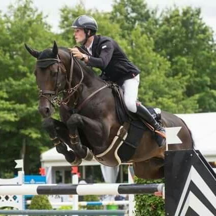 VP Equestrian Center tweet media