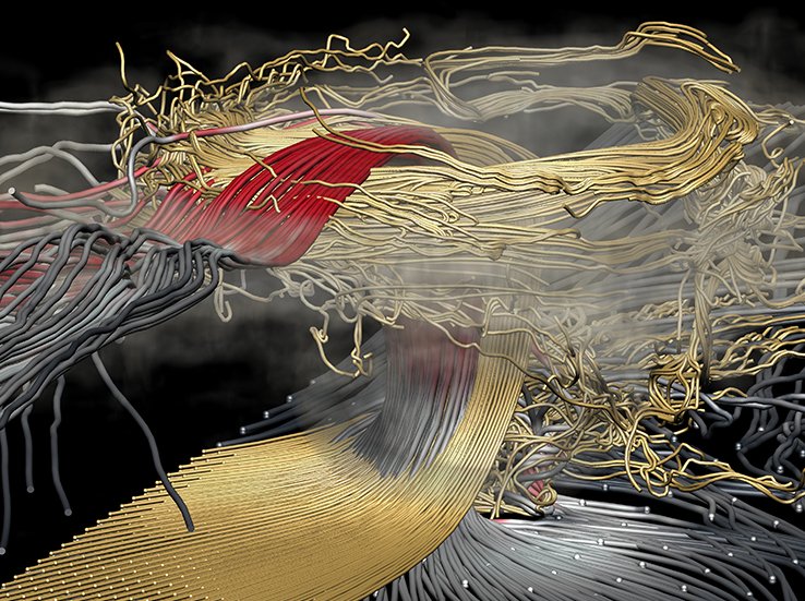 Discover Magazine tweet media