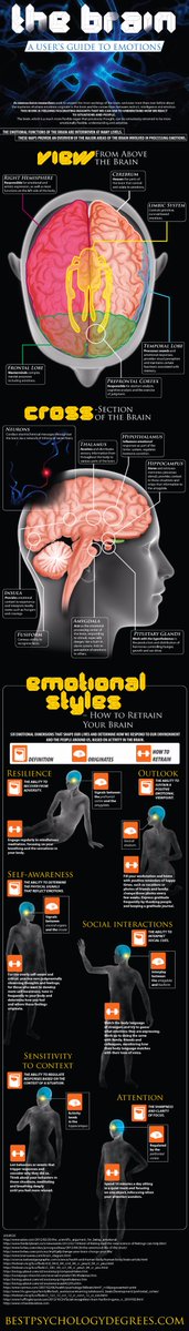 Get to know your brain!

williamoconnor.files.wordpress.com/2015/01/retrai…