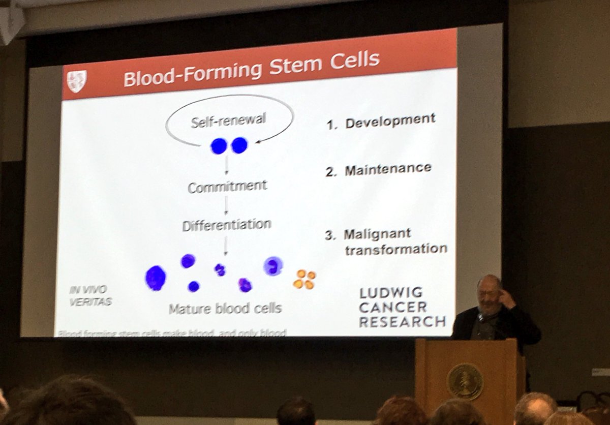 CIRMnews's tweet photo. Irv Weissman gives keynote talk on hematopoietic #stemcells and cell therapies in development at @StanfordMed. #CuringIncurable https://t.co/ojspk89lcx