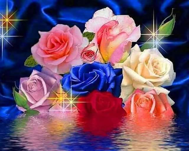 يمني (@adel02208475) on Twitter photo 