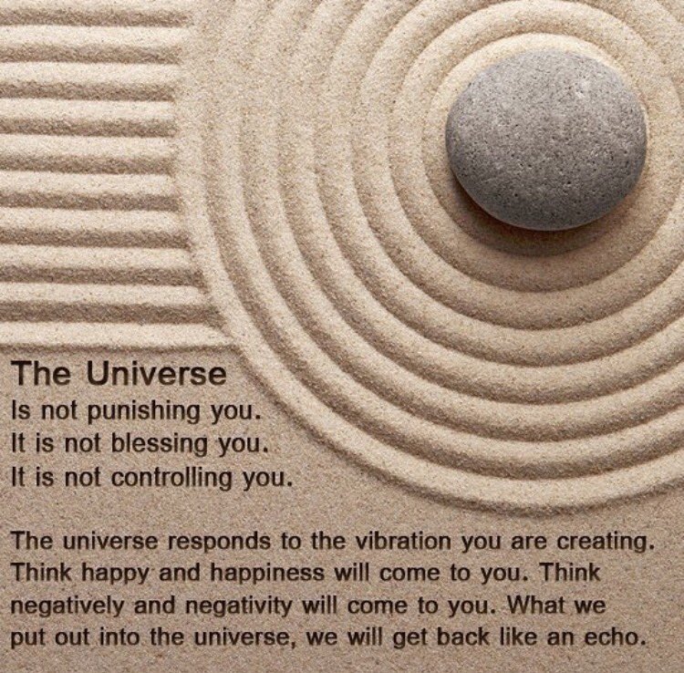 VeganJulz's tweet photo. Our thoughts hold power. There is enough negativity in the world. Be conscious and try to put positivity out in the universe. #consciousness https://t.co/l8qQJ2KJC2