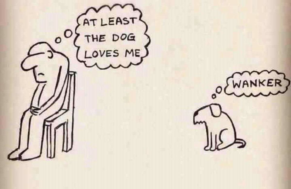 Just remember, if nothing else, your Dog loves you <a href="/MacCocktail/">MacCocktail (@MacCocktail.bsky.social)</a>