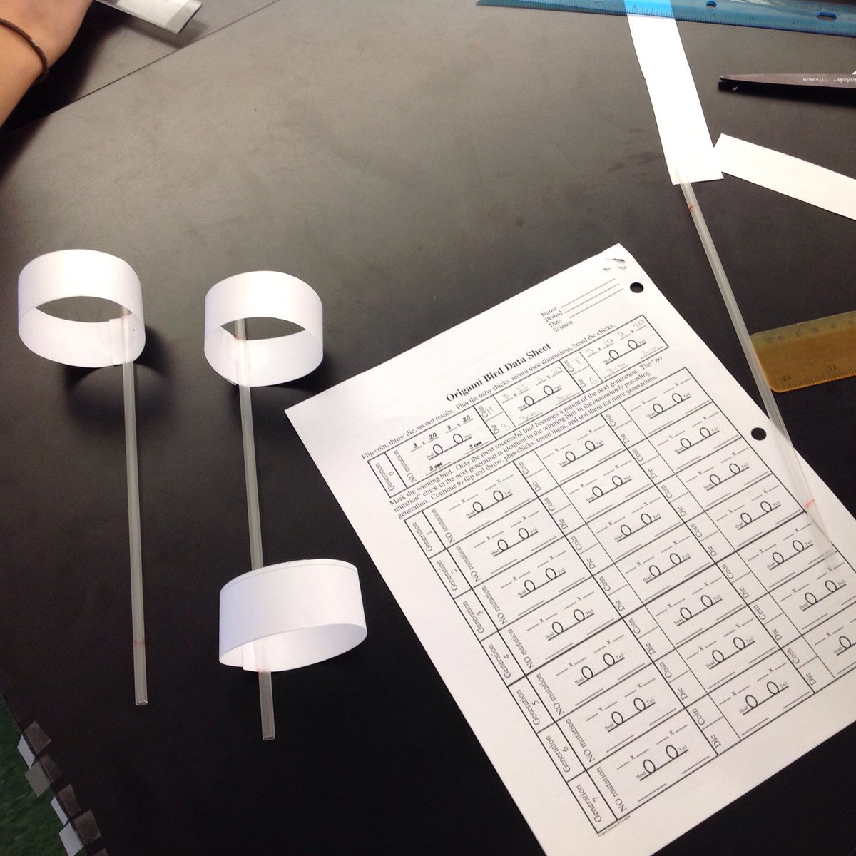 ScienceDept_CIS's tweet photo. Gr 9 Ss investigating variation and selection #origamibirds #modelingevolution #CISInspires https://t.co/1VuIPFG48E