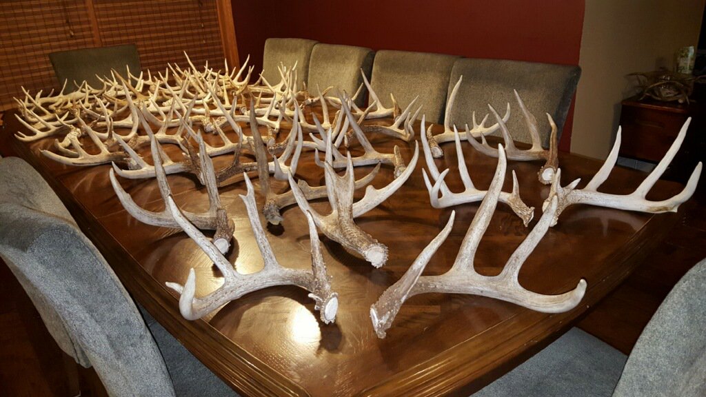 Shed season is upon us. The boys at Illinois Connection are finding a few...