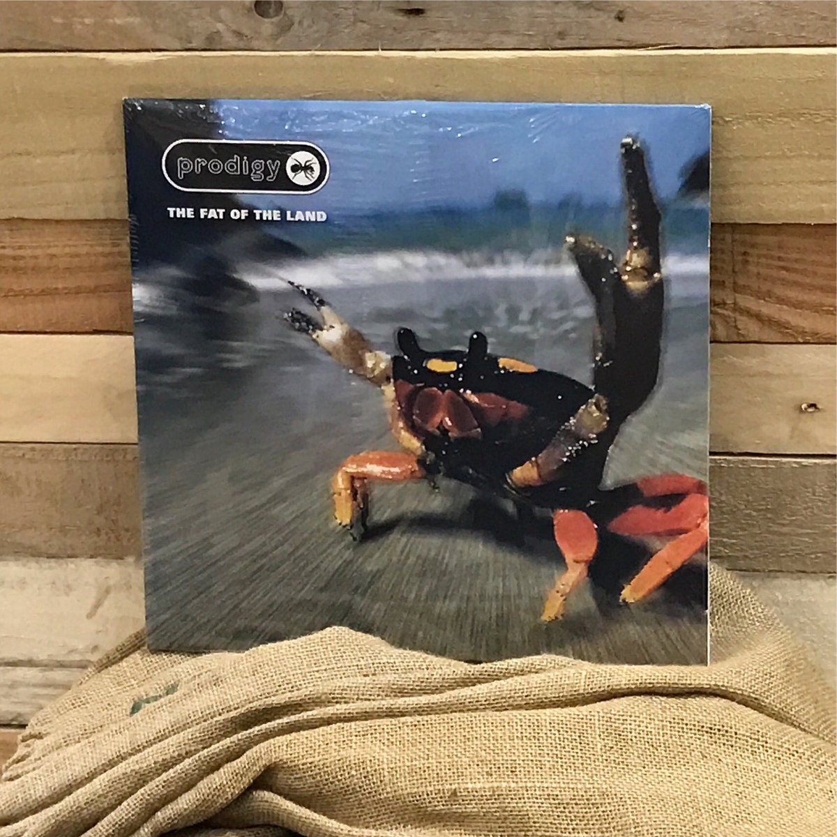 Album pick of the week The Fat Of The Land by The Prodigy. Pop in and check out our vinyl selection #vinyl #records