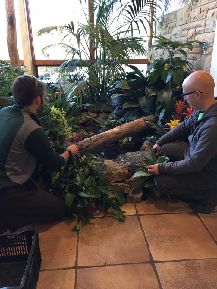 Our staff and volunteers are working hard preparing for Jewels of Winter. Starts 2/7 at Fellows Riverside Gardens! millcreekmetroparks.org/events/list/?t…