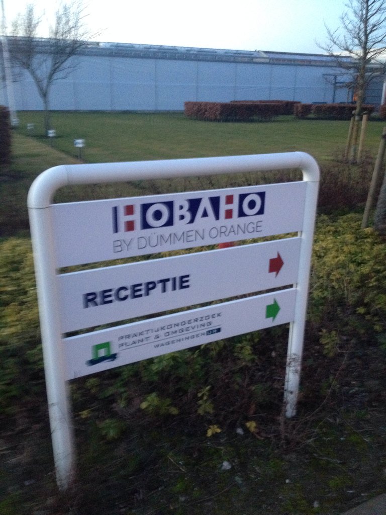 Dank voor gastvrijheid <a href="/hobaho/">Hobaho</a>, programma <a href="/BBreeders/">Boys Breeders</a> en initiatief <a href="/barendsenexport/">Barendsen Aalsmeer</a>
