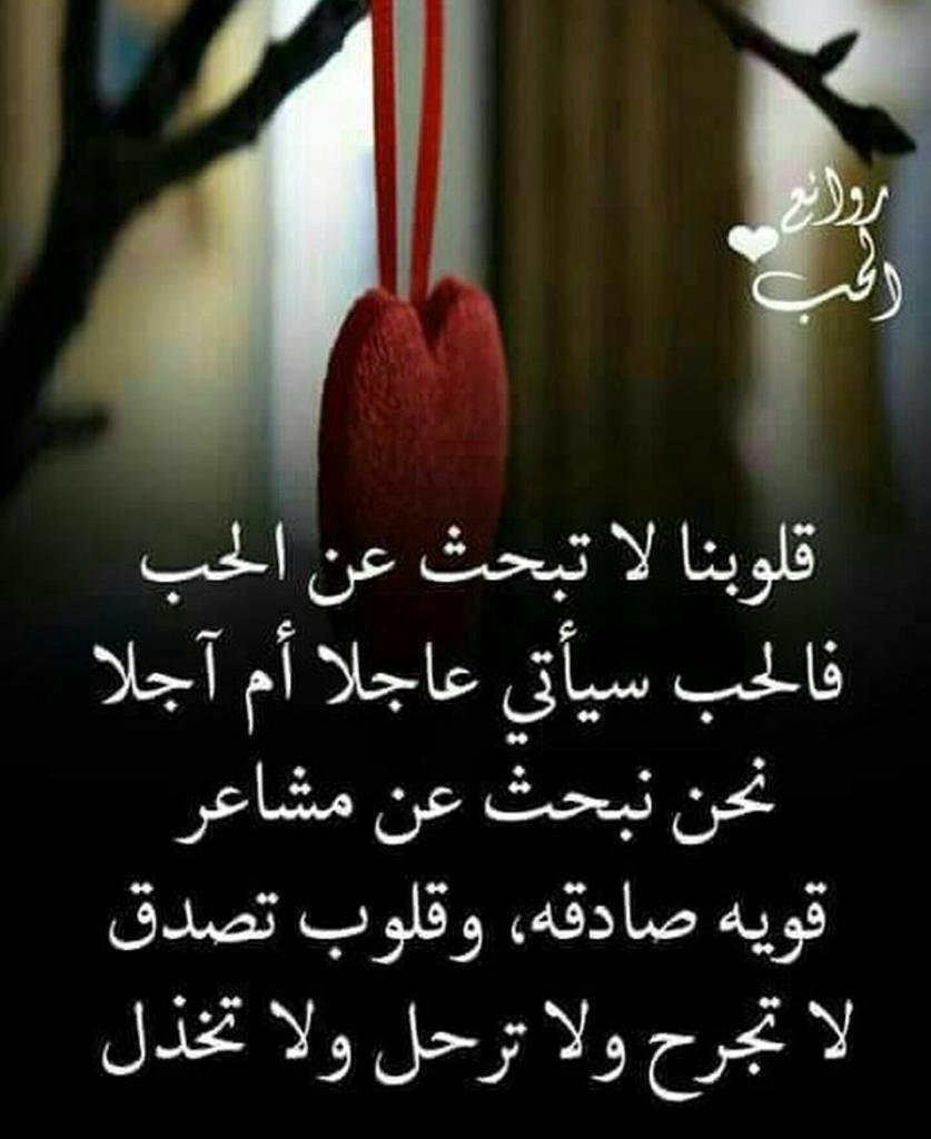 يمني (@adel02208475) on Twitter photo 