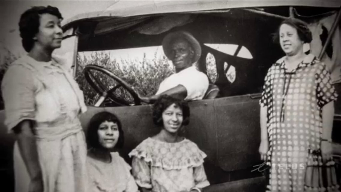 champignon papi tweet media