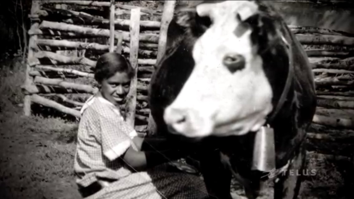 champignon papi tweet media